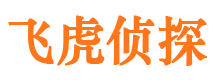 振兴侦探公司